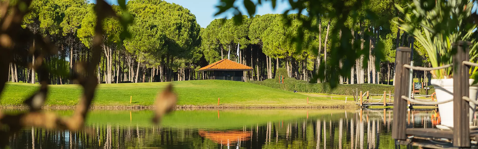 Sueno Golf Club: Pines